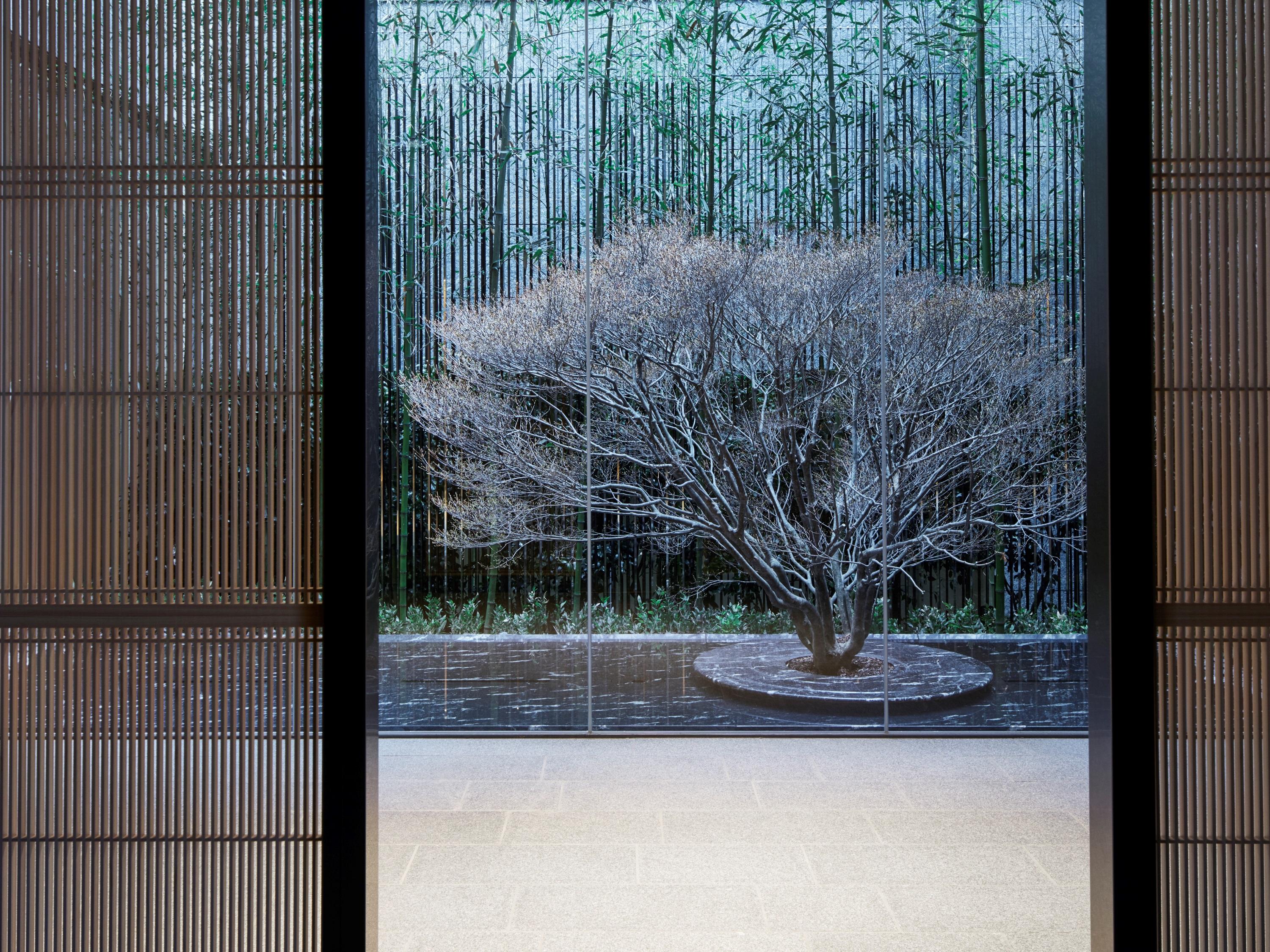 เดอะ เทาแซนด์ เกียวโต Hotel ภายนอก รูปภาพ A view of the garden from the house